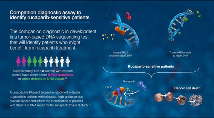 CC网投·(中国游)官方网站