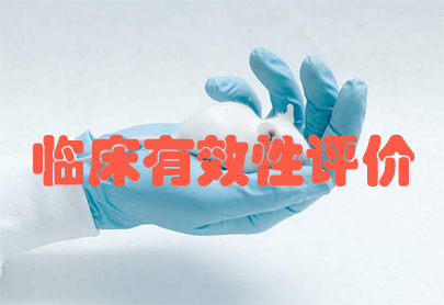 CC网投·(中国游)官方网站