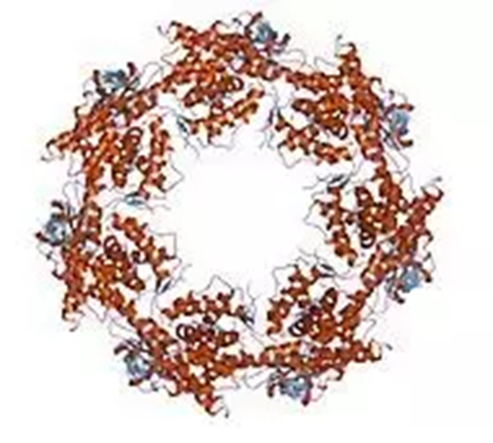 CC网投·(中国游)官方网站