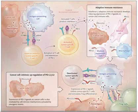 CC网投·(中国游)官方网站