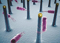 未来的药丸里，，，可能有一万亿小我私家工刷新的细菌？？？？