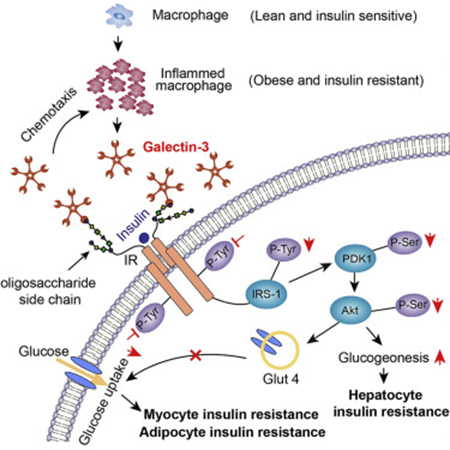 CC网投·(中国游)官方网站