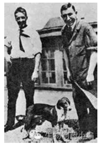 CC网投·(中国游)官方网站