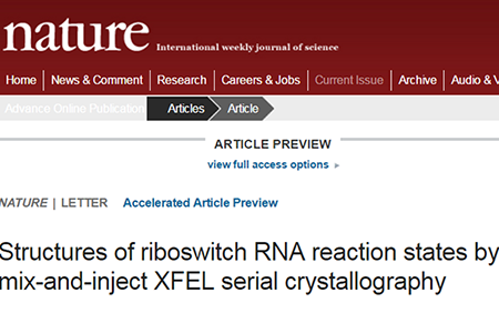 CC网投·(中国游)官方网站