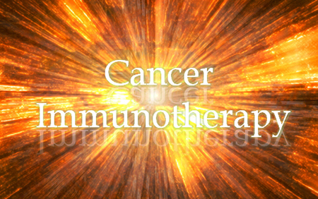 CC网投·(中国游)官方网站