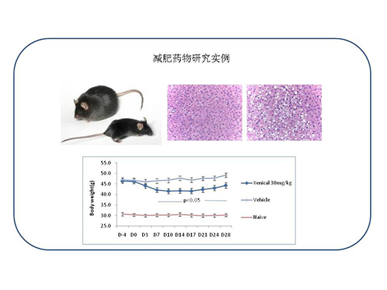 CC网投·(中国游)官方网站