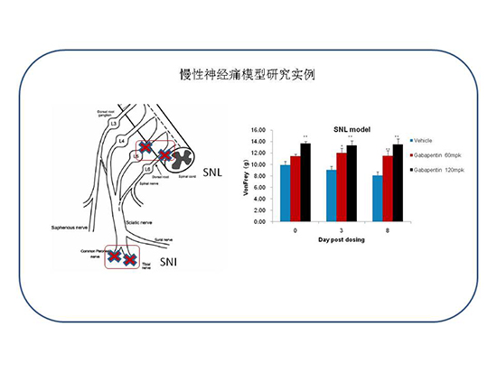 CC网投·(中国游)官方网站