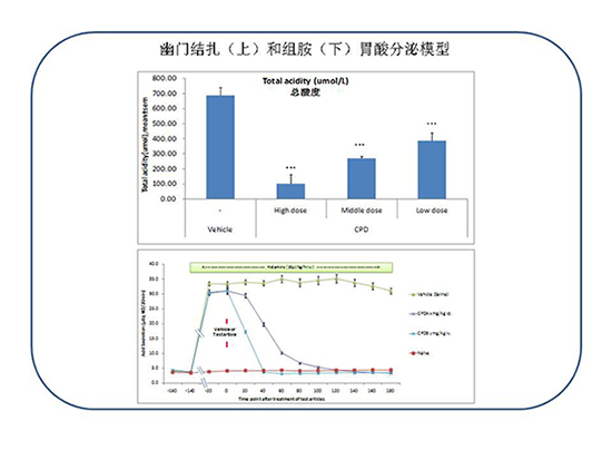 CC网投·(中国游)官方网站