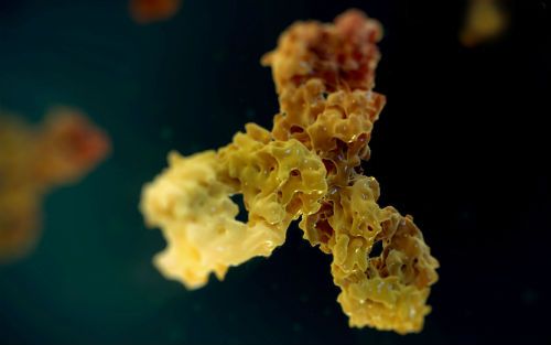 CC网投·(中国游)官方网站