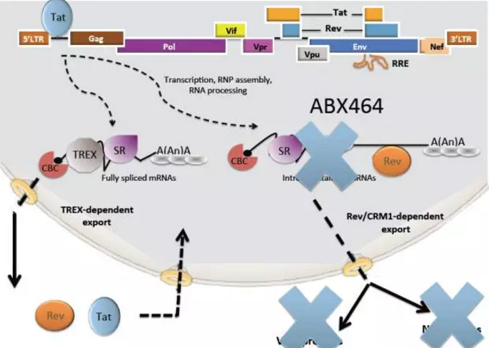 CC网投·(中国游)官方网站
