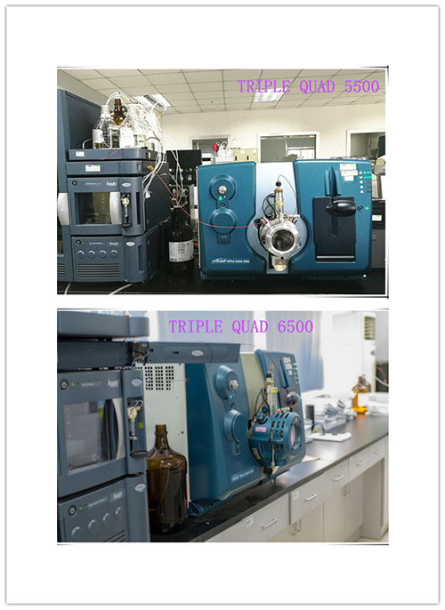 CC网投小分子仿制药生物剖析部分仪器