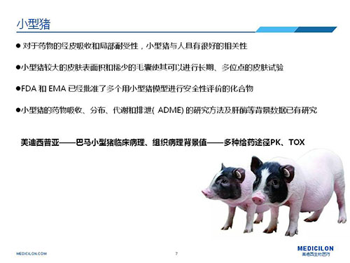 皮肤涂抹试验中，，，，受试动物选择小型猪更好