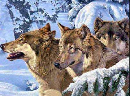 海内仿制药的三匹“狼”来了！