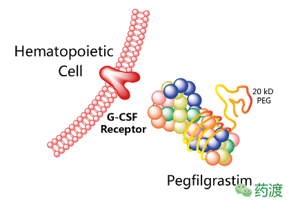 CC网投·(中国游)官方网站