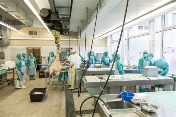 专利悬崖到来，，，骨质松散症药物新药研发战况怎样？？？？？