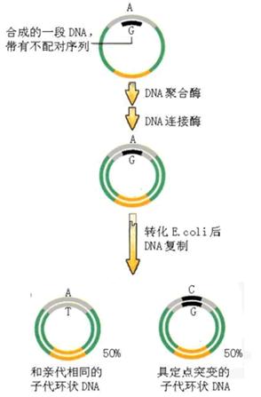 CC网投·(中国游)官方网站