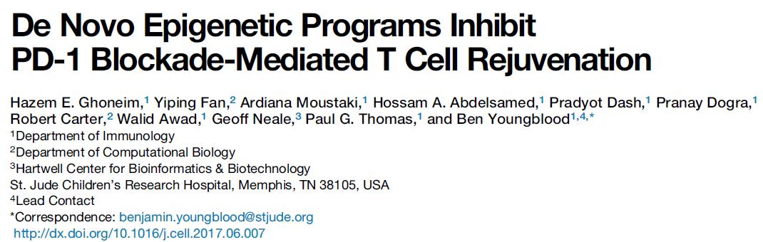 CC网投·(中国游)官方网站