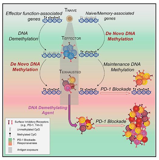 CC网投·(中国游)官方网站