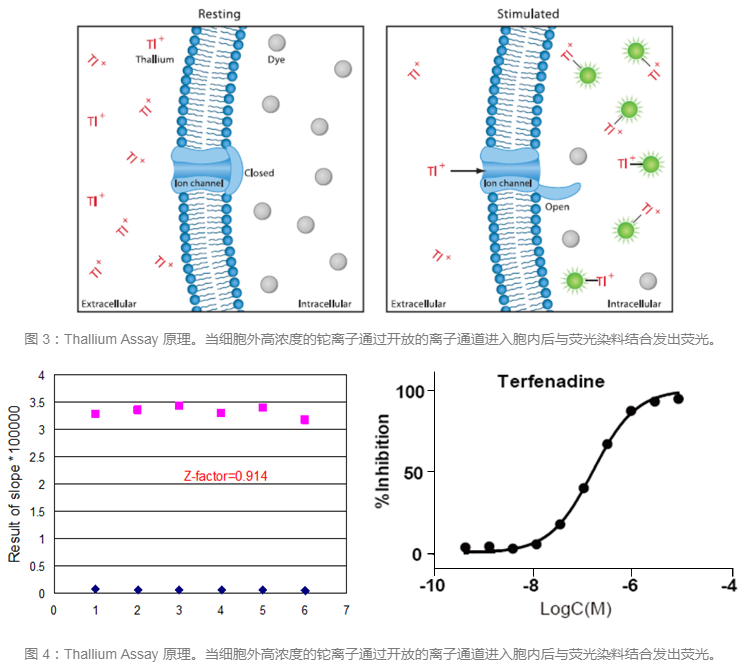 CC网投·(中国游)官方网站