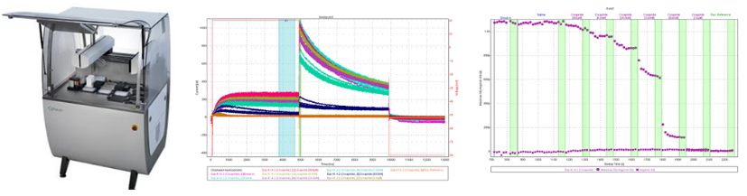 CC网投·(中国游)官方网站