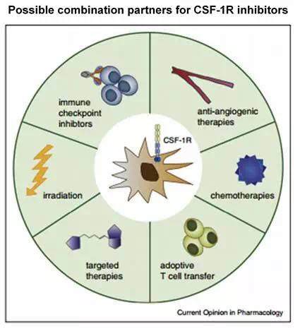 CC网投·(中国游)官方网站