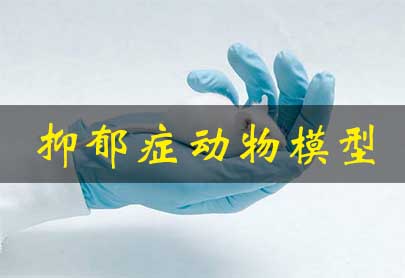抑郁症动物模子