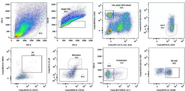 CC网投·(中国游)官方网站