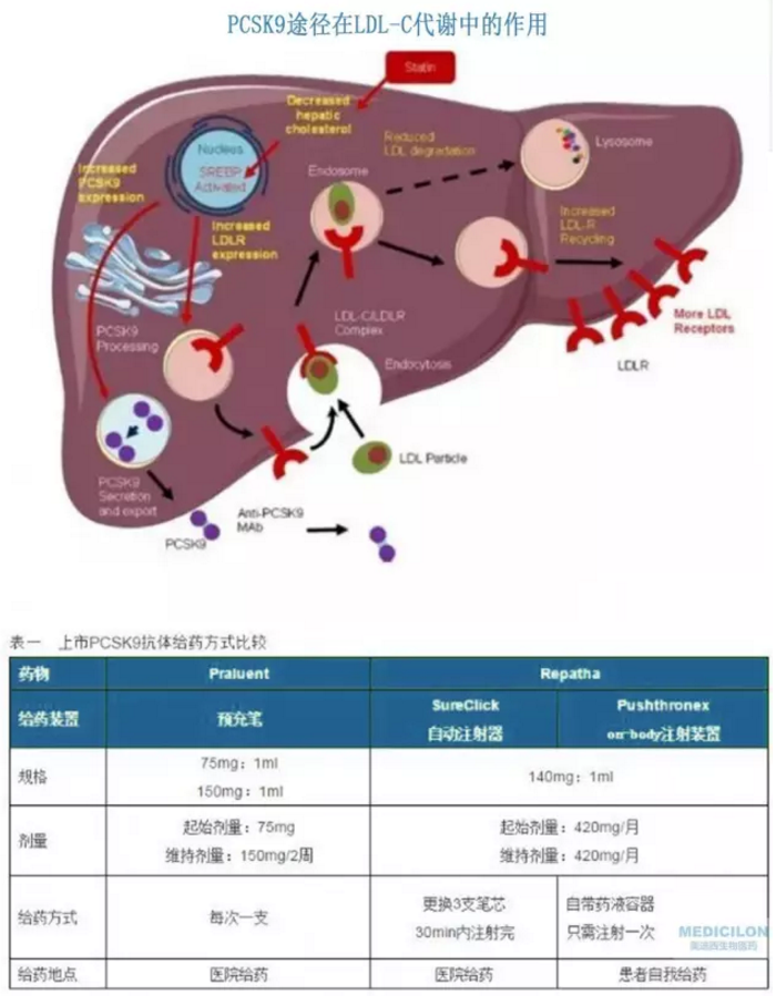 CC网投·(中国游)官方网站