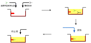 CC网投·(中国游)官方网站