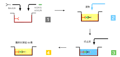 CC网投·(中国游)官方网站