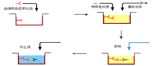 CC网投·(中国游)官方网站