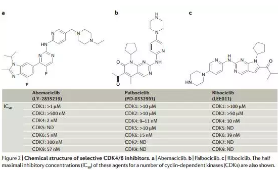 CC网投·(中国游)官方网站