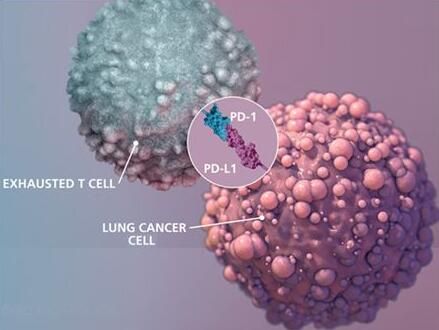 CC网投·(中国游)官方网站