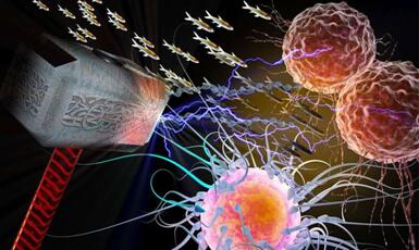 CC网投·(中国游)官方网站