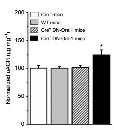 CC网投·(中国游)官方网站