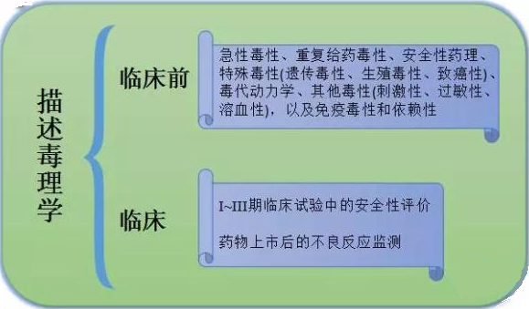 CC网投·(中国游)官方网站