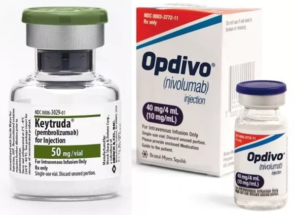 CC网投·(中国游)官方网站