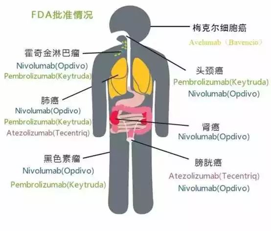 CC网投·(中国游)官方网站
