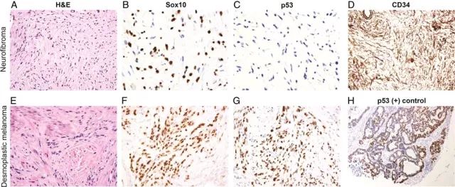 CC网投·(中国游)官方网站
