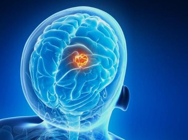 CC网投·(中国游)官方网站