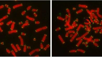 CC网投·(中国游)官方网站