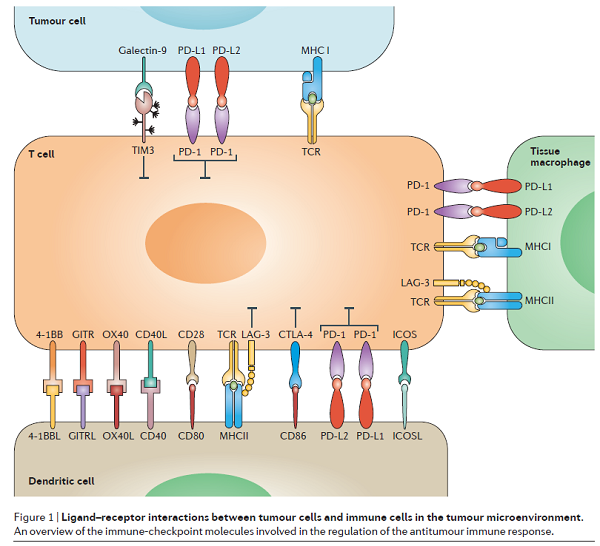 CC网投·(中国游)官方网站