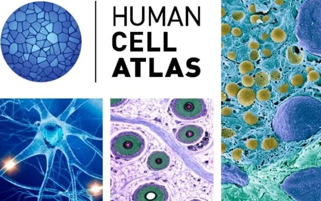 CC网投·(中国游)官方网站