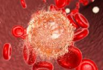 CC网投·(中国游)官方网站