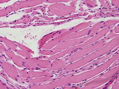 CC网投·(中国游)官方网站