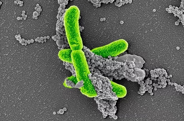 CC网投·(中国游)官方网站