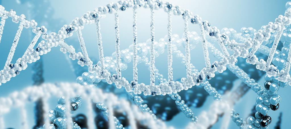浅谈CC网投抗体药物PK剖析要领学设计的思量要点