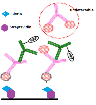 CC网投·(中国游)官方网站