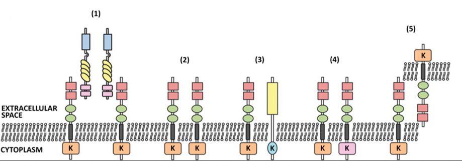 CC网投·(中国游)官方网站