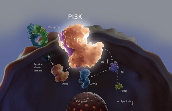 CC网投·(中国游)官方网站